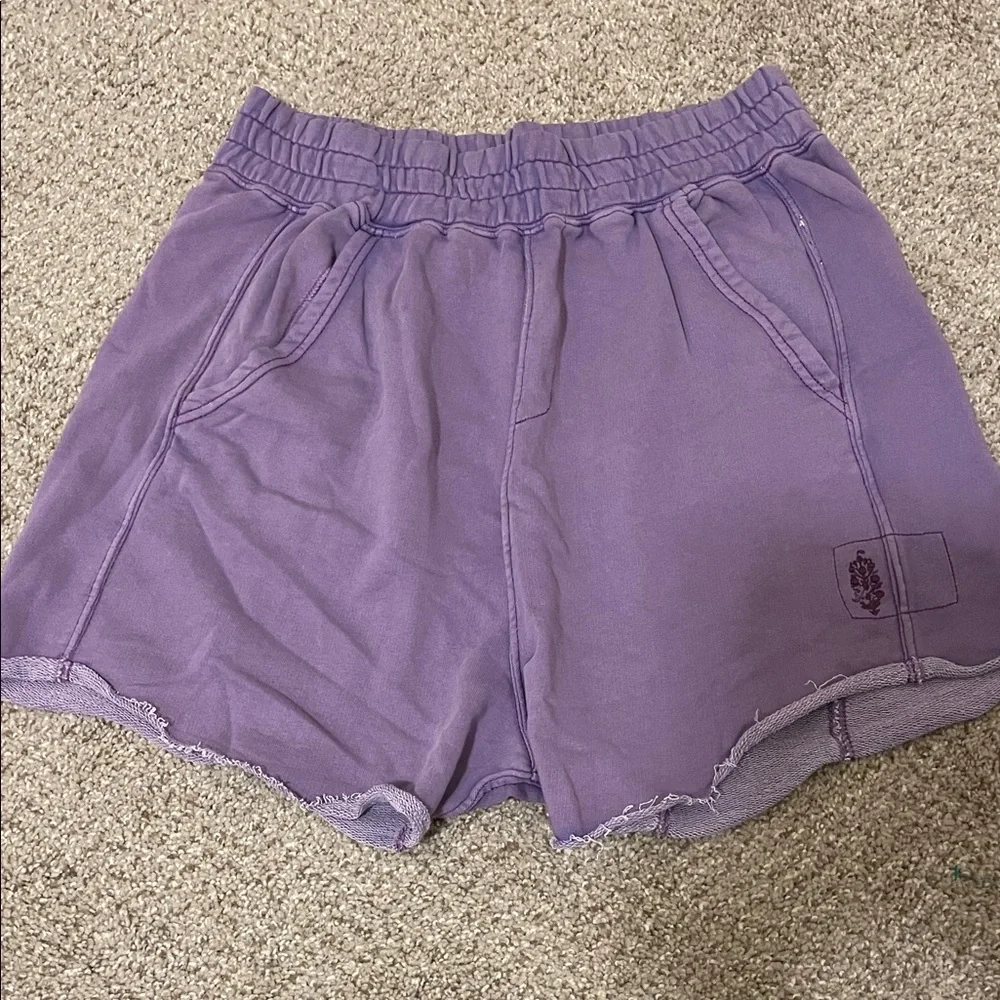 EUC! Free People/Free People Movement Lavender Athletic Shorts, Size XL - Picture 3 of 6